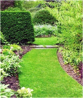 Garden Path and Lawn